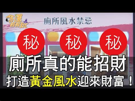 廁所植物 風水|「廁所風水：可以放黃金葛嗎？黃金葛在廁所風水中的。